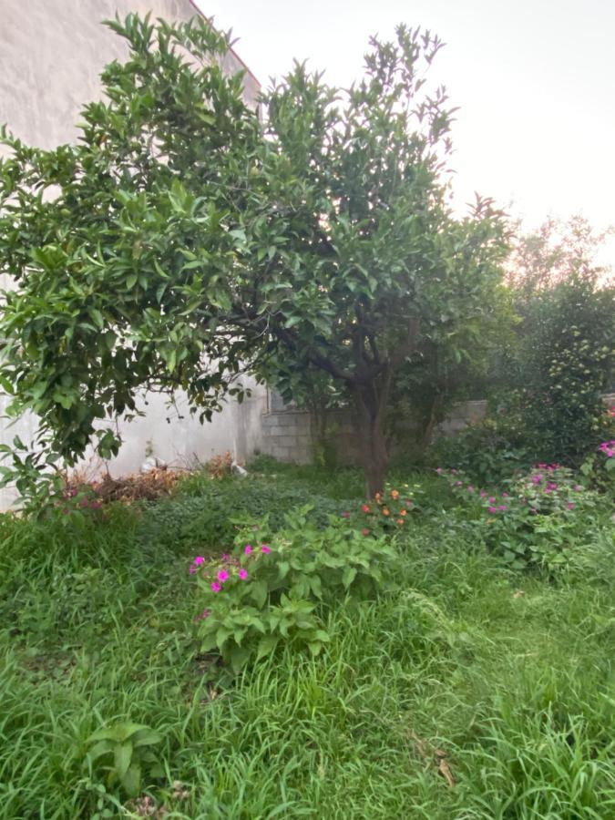 L'Incognita Bed & Breakfast San Nicolo d'Arcidano Dış mekan fotoğraf