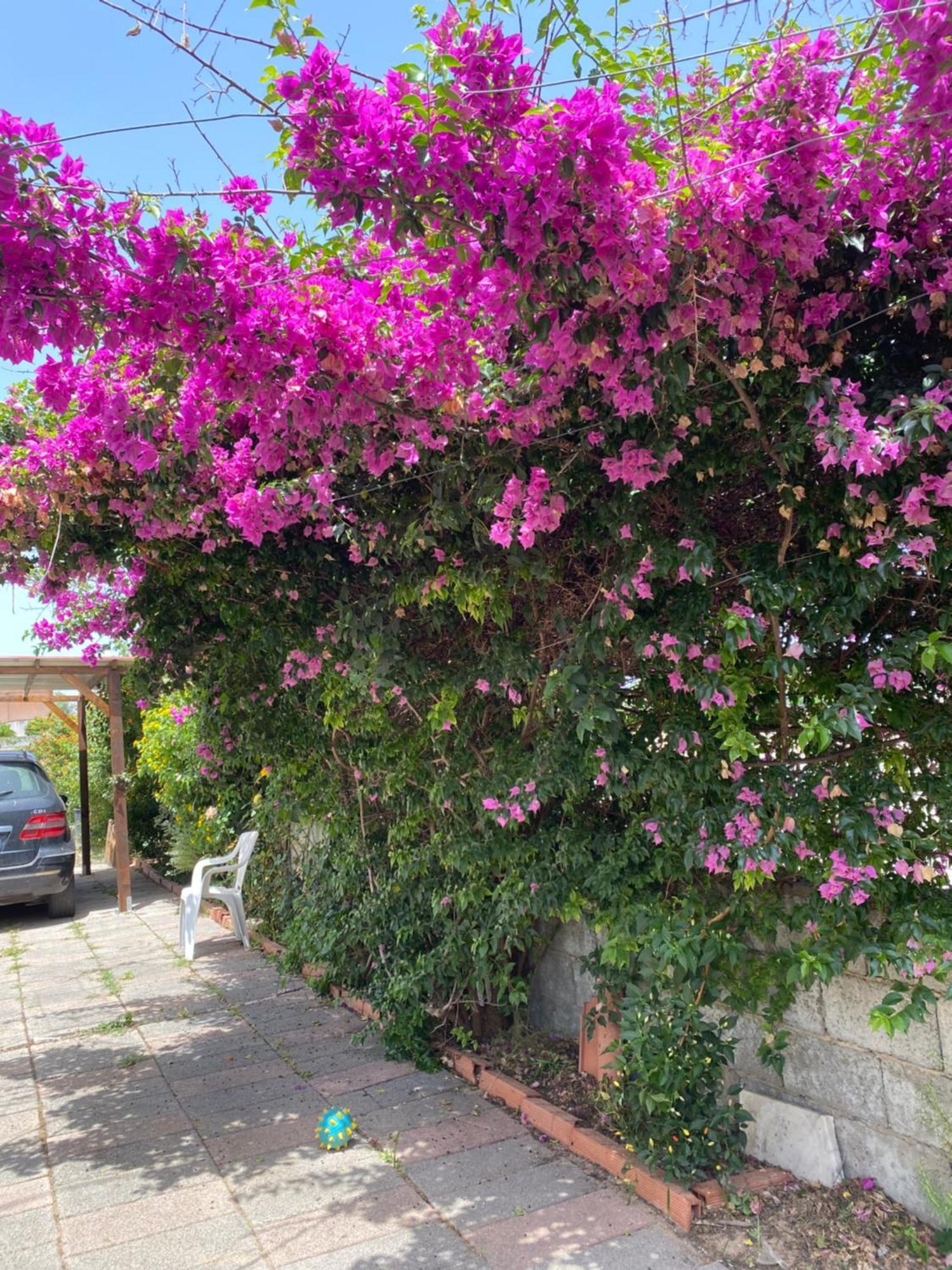 L'Incognita Bed & Breakfast San Nicolo d'Arcidano Dış mekan fotoğraf
